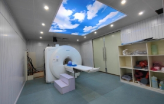 SIEMENS 1.5T ESSENZA MRI